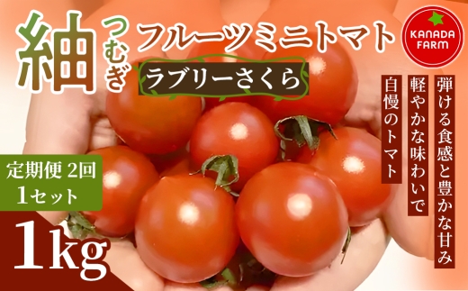 《先行予約》【定期便2ヶ月】紬（つむぎ）フルーツミニトマト（ラブリーさくら）1kg 1セット 甘い野菜 デザート感覚 おやつ スイーツ感覚 サラダ用 そのまま食べる 旬 家庭用 贈り物 日々の食卓 お取り寄せ 産地直送 愛知県 豊橋市
