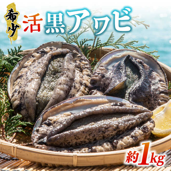 【ふるさと納税】 活アワビ1kg（黒アワビ）《壱岐市》【丸和水産】[JCJ006] 鮑 アワビ あわび 黒鮑 黒アワビ 黒あわび 貝 魚貝 海鮮 刺身 刺し身 お刺身 BBQ 51000 51000円