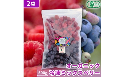 有機JAS認証 冷凍ミックスベリー 1kg(500g×2袋)【北海道十勝産】【1677092】