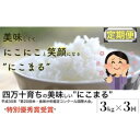 【ふるさと納税】 令和6年産新米 四万十育ちの美味しい「仁井田米」にこまる 定期便 (3kg×3回) 高知のにこまるは四万十の仁井田米 新米 新米予約 令和6年産米 米 こめ コメ 農家 こだわり お米 おこめ ブランド米 Sbmu-B09