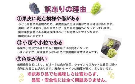 【訳あり】岡山県産 林ファミリーのシャインマスカット 約2kg（約3～5房） 【2025年先行予約】 / ご家庭用 岡山 真庭市 ぶどう 果物 フルーツ 【hfami022】