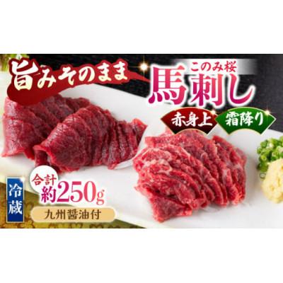 ふるさと納税 うきは市 このみ桜赤身上&amp;霜降りセット(うきは市) U050-1MT-HSS2