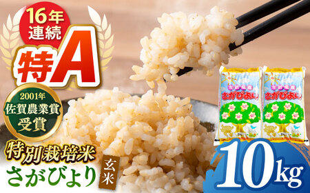 【特別栽培米】令和7年産 さがびより 玄米 10kg 【ももさき農産】 [HCG005]特A 