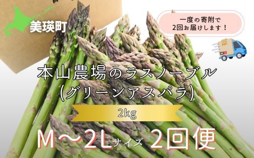 
            【先行予約】 幻のアスパラ M～2Lサイズ 2kg  2回便 ラスノーブル <令和7年産 > 北海道 美瑛町 本山農場 グリーンアスパラ | グリーン アスパラガス アスパラ あすぱら あすぱらがす 採れたて 新鮮 旬 産地直送 野菜[038-09]
          