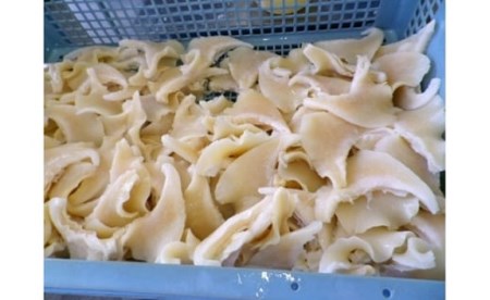 コラーゲン3900mg ふかひれラーメンと姿煮のセットＡ 
