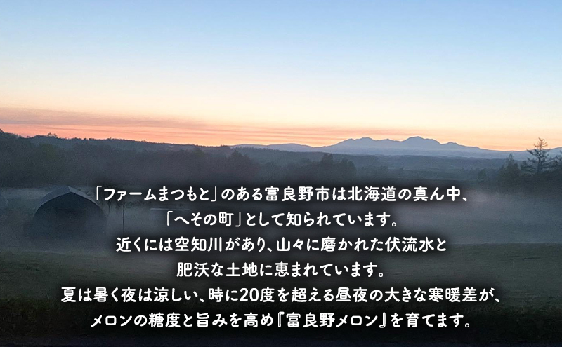 【2026年秋発送】厳選ふらのメロン [秋メロン] 赤肉 1玉（2.0～2.5kg）糖度15度以上 [ファームまつもと] メロン 赤肉メロン フルーツ 果物 新鮮 甘い 贈り物 ギフト ブランドメロン