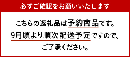 【先行予約】令和6年産米 三重県産コシヒカリ5kg 新嘗祭皇室献上米農家