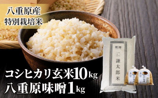 【令和8年産 新米】八重原産コシヒカリ 玄米「謙太郎米」10kgと 大桂商店 信州味噌「八重原味噌」1kg セット｜特別栽培米（減農薬・減化学肥料栽培）【太陽と大地】