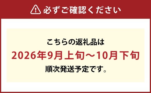 《ご家庭用》 シャインマスカット 2～3房（合計約1.2kg）
