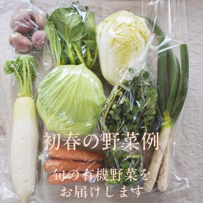 ふるさと納税 掛川市 しあわせ野菜畑の有機野菜　Sセット　(安心の有機JAS認証　旬のオーガニック野菜　農場直送便) |  | 03