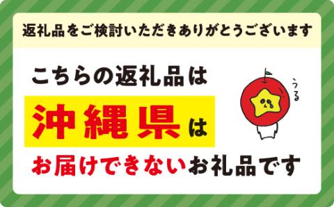 りんご サンふじ 家庭用 3kg 沖縄県への配送不可 2024年12月中旬から2024年12月下旬まで順次発送予定 令和6年度収穫分 静谷りんご園 信州の環境にやさしい農産物認証 飯綱町 [1315]