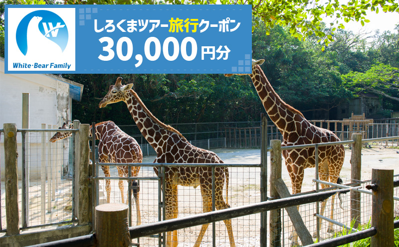 
            【沖縄市】しろくまツアーで利用可能なWEB旅行クーポン (3万円分) 沖縄旅行 観光 ツアー トラベルクーポン 電子クーポン 30000円 沖縄市 / 株式会社ホワイト・ベアーファミリー [BCAV004]
          