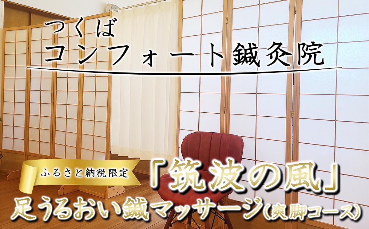 
                  ふるさと納税特別メニュー コンフォート鍼灸院「筑波の風 足うるおい鍼マッサージ（爽脚コース）」 │ 鍼灸 ツボ しんきゅう はりきゅう 肩こり 腰痛 自律神経 マッサージ リラクゼーション 癒し ヒーリング 指圧 茨城県 つくば市
                