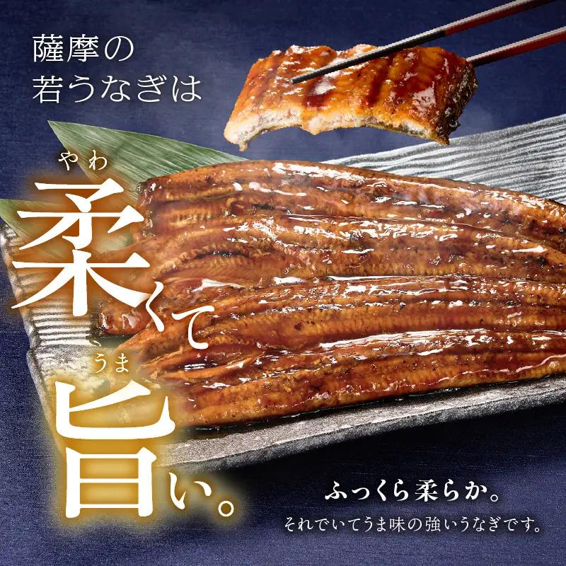  2121 鹿児島県産 うなぎ蒲焼 30尾 KN058-002-30 魚 冷凍 鰻