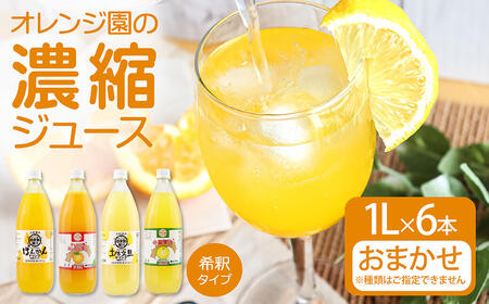 オレンジ園の濃縮ジュース 1L おまかせ6本入り 希釈用【R01127】