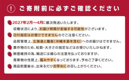 AB380.【訳あり.限定品】博多あまおう.小粒ですが約１２００g（先行受付．２０２７年２月以降発送）