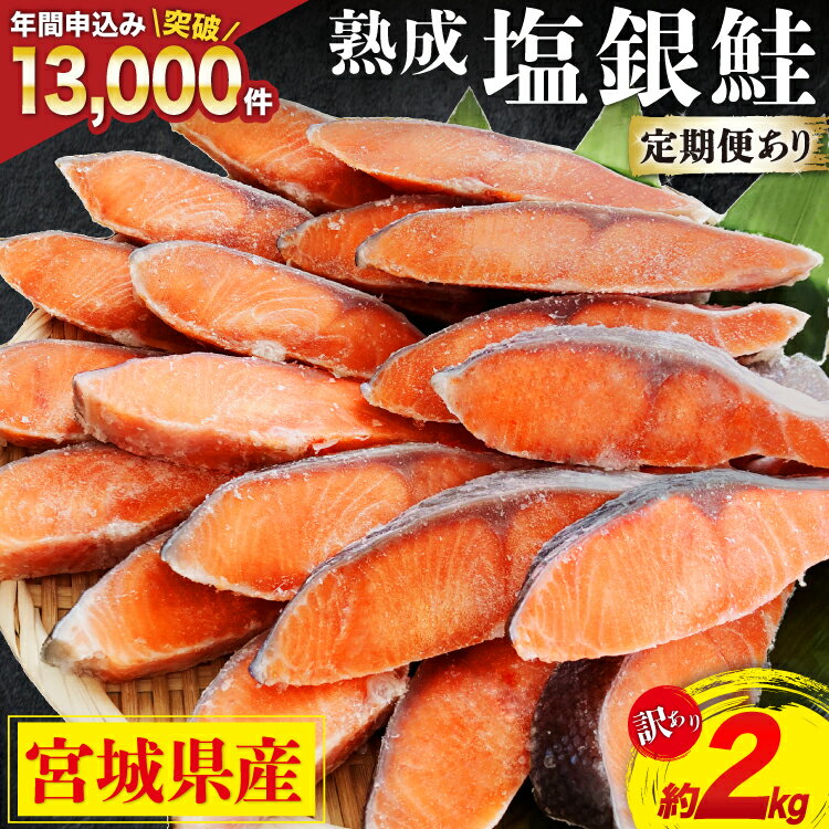【ふるさと納税】訳あり 宮城県産 熟成 銀鮭 切身 約2kg【選べる定期便】 [宮城東洋 宮城県 気仙沼市 20562687] 鮭 海鮮 魚介類 国産 さけ 鮭 甘口 サケ 鮭切身 シャケ 切り身 冷凍 おかず 弁当 支援 事業者支援 サーモン 魚 銀鮭切り身 定期便