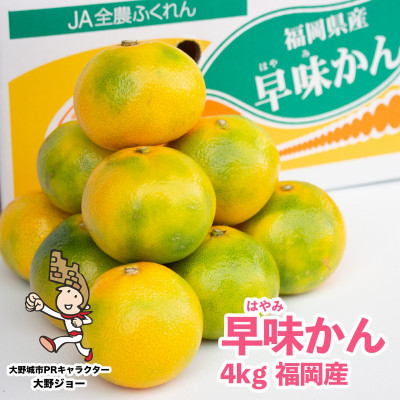 
                  ＜先行受付＞福岡限定!オリジナルブランドみかん「早味かん」約4kg(大野城市)【1091056】
                