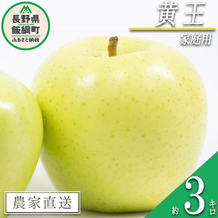 【ふるさと納税】 りんご 黄王 家庭用 3kg 永野農園 沖縄県への配送不可 令和7年度収穫分 長野県 飯綱町 〔 信州 果物 フルーツ リンゴ 林檎 長野 予約 農家直送 10000円 〕発送時期：2025年8月中旬〜2025年8月下旬
