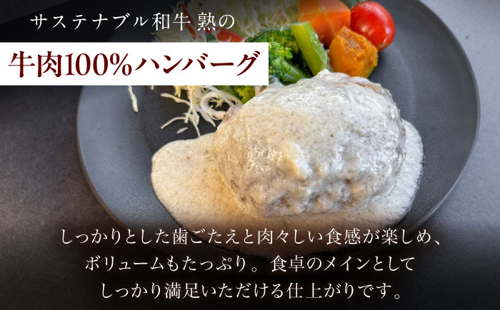 銀のハンバーグ ゴルゴンゾーラチーズソース 150g×4個 サステナブル和牛 牛肉 加工品 ギフト包装 島根県雲南市/株式会社熟豊ファーム [AIAT022]