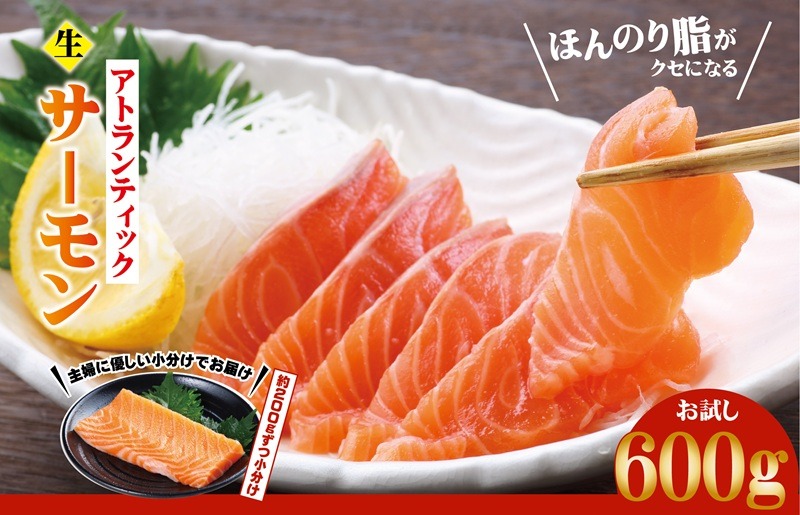 G3544 アトランティックサーモン  お試し 600g【生食可 小分け 200g×3P 柵切り 刺身 魚介 海鮮】