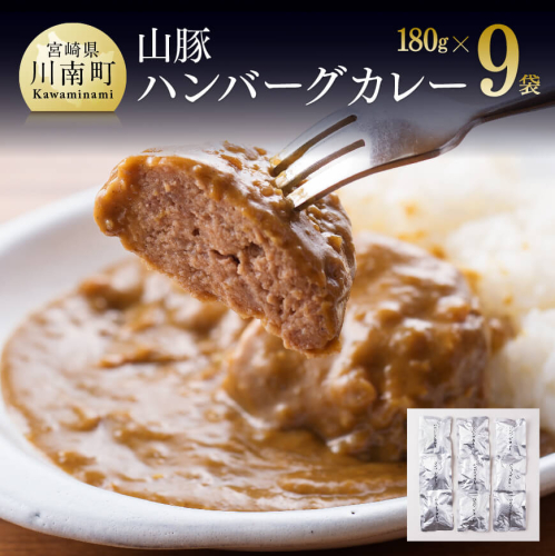 山豚ハンバーグカレー１８０ｇ×９袋 【 肉 豚肉 肉加工品 惣菜 】 宮崎県川南町