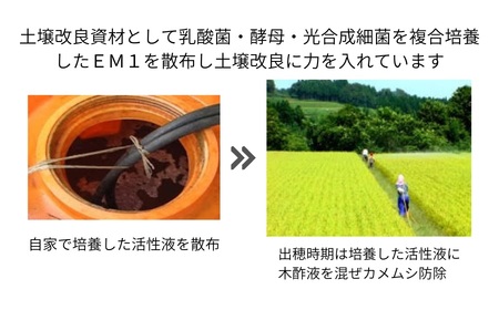 【令和7年産】特別栽培米 つや姫 4kg（2kg×2袋） 山形県 鶴岡市 伊藤農園（伊藤嘉吉）