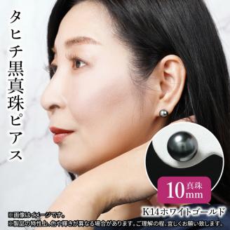 タヒチ黒真珠ピアス　真珠10mm　K14ホワイトゴールド