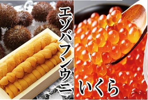 エゾバフンウニ140g×1折、いくら醤油漬150g×1P[11月下旬以降発送] E-40029