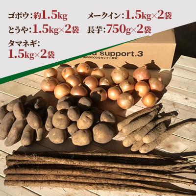 ふるさと納税 帯広市 冬の味覚野菜5種セット A 計約12kg 北海道十勝帯広産 |  | 01