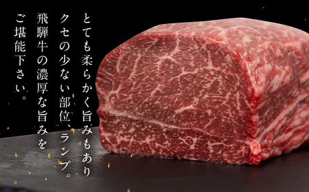 飛騨牛 ランプブロック 500g 牛肉 ブランド牛 らんぷ 牛 肉 ブロック 塊肉 おすすめ 【冷凍配送】【22-39】