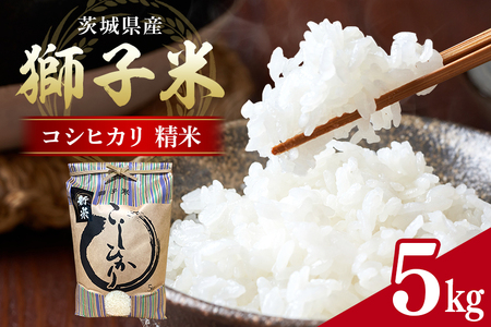【令和7年産】獅子米 コシヒカリ 精米 5kg 岡田ファーム コンテスト受賞米 お米 白米 米 おこめ ブランド米 こしひかり 5キロ 国産 単一原料米 コメ こめ ご飯 銘柄米 茨城県産 茨城 産直 産地直送 農家直送 ごはん 家庭用 贈答用 お取り寄せ ギフト 茨城県 石岡市 (B02-001)