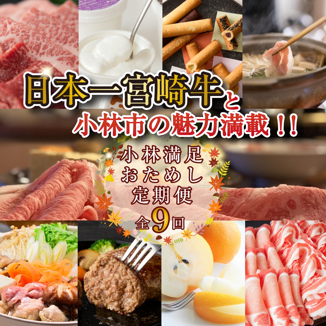 【定期便・全9回】日本一宮崎牛と小林市の魅力満載!!! 小林満足おためし定期便 10万円コース（国産 牛肉 国産牛 和牛 黒毛和牛 すき焼き フルーツ お菓子 豚肉 鶏肉 スイーツ 定期便）