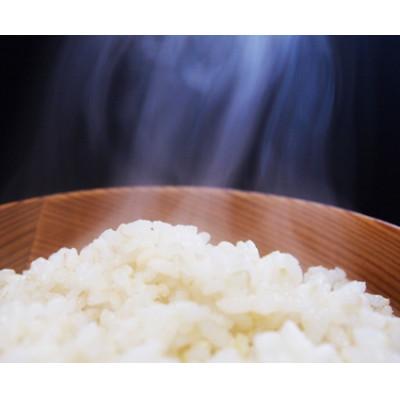 ふるさと納税 上越市 【分づき米】2kg×2袋「Riki-saku コシヒカリ」アフコ・秋山農場のPB米