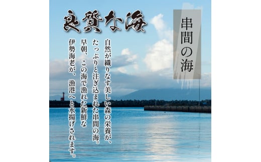 L-C2 <期間・数量限定>串間市産!天然イセエビ600g以上【串間市漁業協同組合】