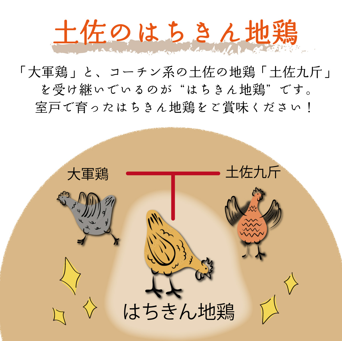 【２～３人前】はちきん地鶏のモモ肉　500ｇカット 鶏肉 小分け 冷凍 鶏もも肉 6000円