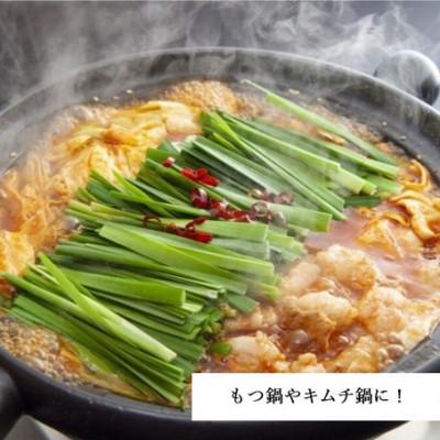 ふるさと納税 雲南市 【紅梅しょうゆ】創業190年以上続く醤油店の「コブクロちゃん」2個セット(濃縮タイプ) |  | 02