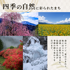 スリッパ Lサイズ 阿波しじら ささ和紙 スリッパ （ 市松赤 ）