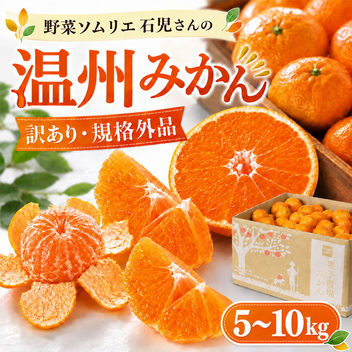 【ふるさと納税】 【訳あり・規格外品】温州みかん 5kg〜10kg 野菜ソムリエ石児さん ／ ミカン 柑橘 5kg 10kg 柑橘類 期間限定 数量限定 サイズ不揃い 傷 先行予約 11月 12月 1月 11月発送 12月発送 1月発送 送料無料 大分県 杵築市 ＜103-702＞