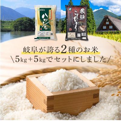ふるさと納税 岐阜市 【令和7年産】岐阜県産　ハツシモ　飛騨こしひかり食べ比べセット(5kg×2袋)精米