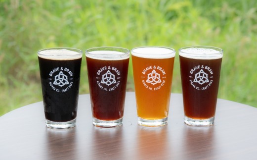 【定期便・全3回】クラフトビール 飲み比べ 4種 350ml×4本｜缶ビール 地ビール IPA 黒ビール お酒 スコティッシュ 高知県 日高村