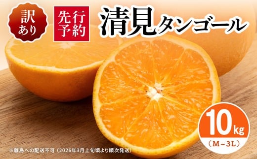 【先行予約】【訳あり】清見タンゴール 10kg（M～3L）※離島への配送不可 （2026年3月上旬頃より順次発送） 【 ふるさと納税 人気 おすすめ ランキング みかん ミカン 蜜柑 柑橘 清見 清見タンゴール フルーツ 果物 旬 訳あり 自宅用 愛媛県産 愛媛県 伊方町 送料無料 】 IKTAR014