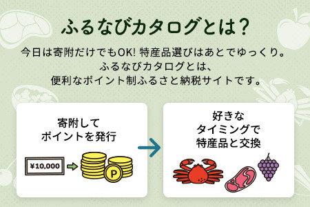 【有効期限なし！後からゆっくり特産品を選べる】茨城県牛久市カタログポイント