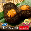 【ふるさと納税】国産 うに 冷凍 うに 北海道 登別近海産 エゾバフンウニ 100g ~ 500g【6月以降順次配送】 | ふるさと納税 うに 雲丹 生うに 海鮮 高級 ウニ 雲丹 エゾバフンウニ バフンウニ 北海道 登別 ふるさと 人気 ランキング 送料無料