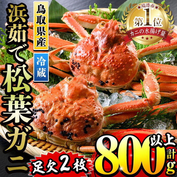 【ふるさと納税】＜※金～日着のみ午前中着不可※＞＜先行予約受付中！・11月中旬～2月末発送予定＞浜茹松葉ガニ足欠(2枚/計約800g以上)国産 かに カニ 鳥取県 境港市 松葉ガニ 松葉蟹 浜茹で 海鮮 蟹味噌 かに味噌 鍋 冷蔵【sm-BE001】【川口商店】