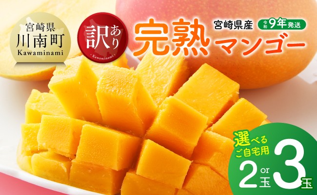 
                  ※選べる内容量※	【令和9年発送】ご自宅用宮崎県産完熟マンゴー 【 果物 フルーツ マンゴー 宮崎県産 完熟マンゴー みやざきマンゴー 先行予約 】
                
