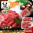 【ふるさと納税】石垣牛 切り落とし スライス (300g×2パック) 計600g 沖縄県 石垣市 石垣島 石垣牛 牛肉 牛 切り落とし スライス 高級 黒毛和牛 和牛 送料無料 AB-24-1