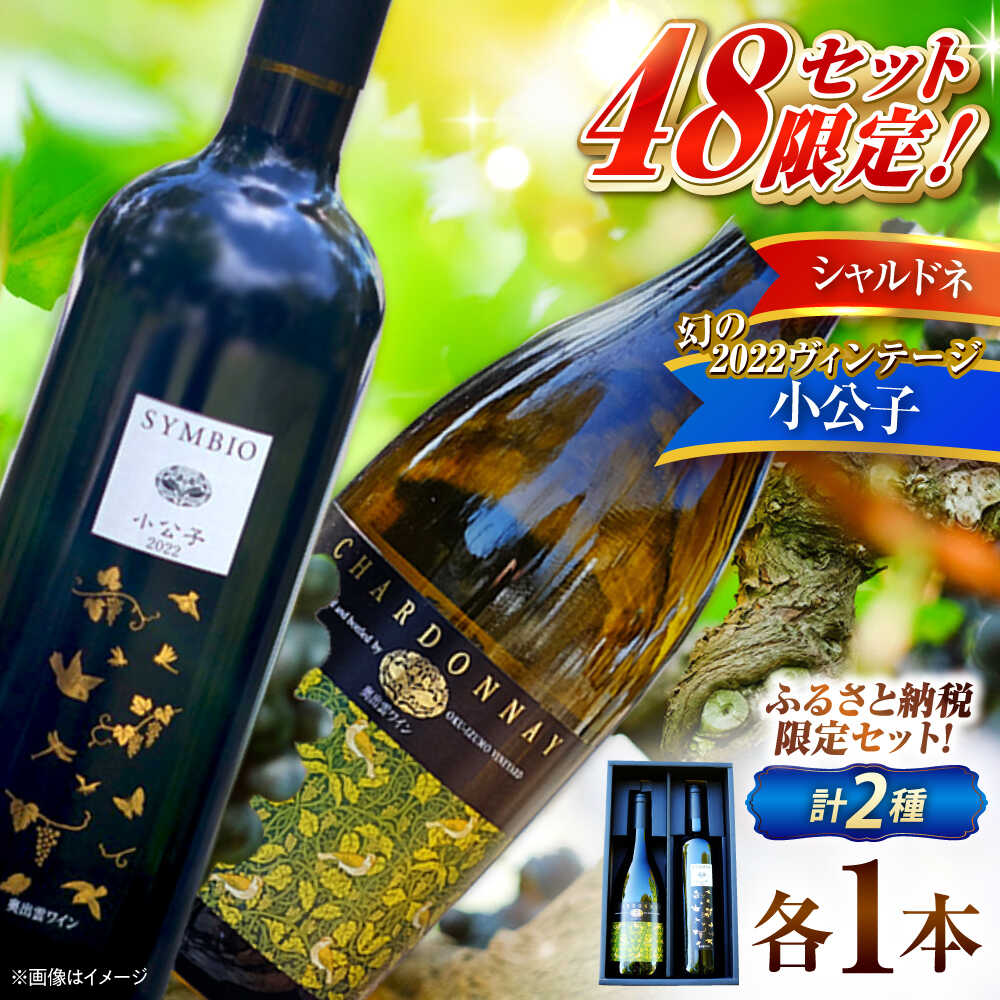 【ふるさと納税】【贈答用】 ワインセット ふるさと納税限定ワインセット 小公子(2022ヴィンテージ)・シャルドネ ワイン セット 飲み比べ 750ml×2本 赤ワイン 白ワイン 詰め合わせ 日本ワイン 国産ワイン お酒 酒 島根県雲南市/有限会社奥出雲葡萄園[AICS092]