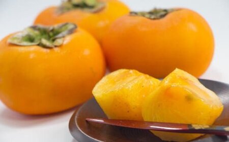 ［厳選・産直］和歌山産の富有柿約2kg（化粧箱入り）（2L～4Lサ イズ）※2024年11月上旬～2024年12月上旬頃に順次発送【tec406A】