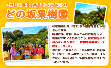 不知火 ( デコポン と同品種 ) しらぬい 約 5kg (L～5Lサイズ) どの坂果樹園《2月中旬-4月上旬頃出荷》 和歌山県 日高川町 しらぬい 不知火 デコポン でこぽん 旬 果物 フルーツ 柑